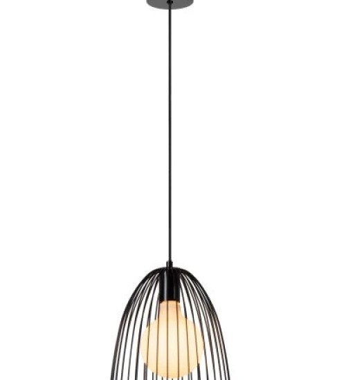 Teardrop Pendant Light Black