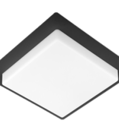 Teardrop Pendant Light Black