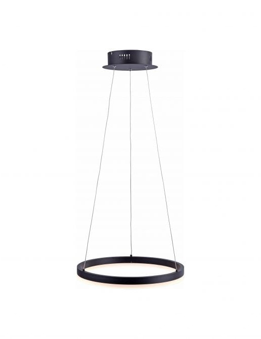 Suspension Paul Neuhaus Titus 28w (3000k) 40cm,anthracite