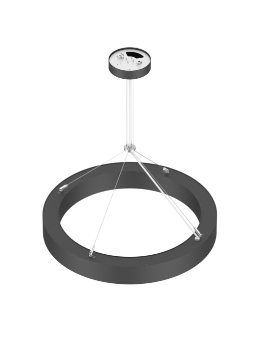 SUSPENSION CIRCLE