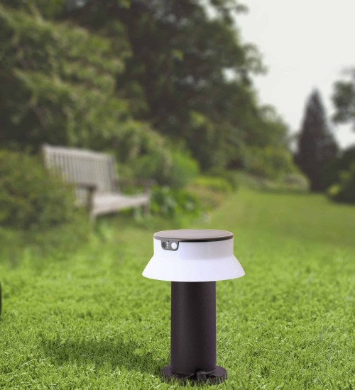Teardrop Pendant Light Black